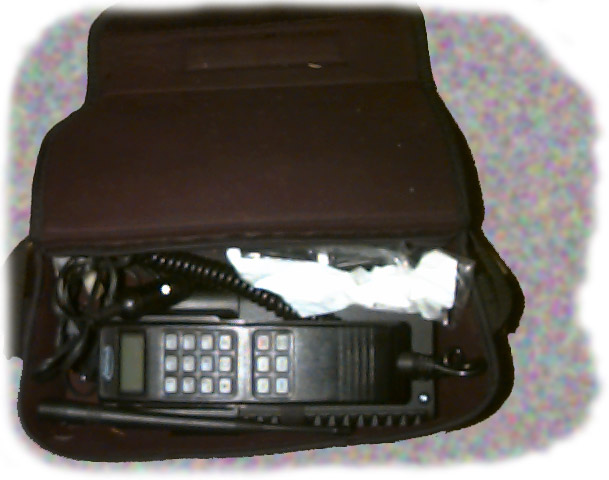[Pic of my wonderful bagg.]
